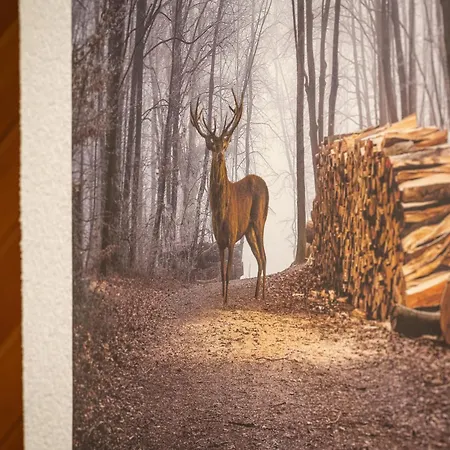 公寓 Orion 205 By Interhome *