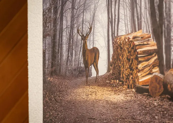 公寓 Orion 205 By Interhome *