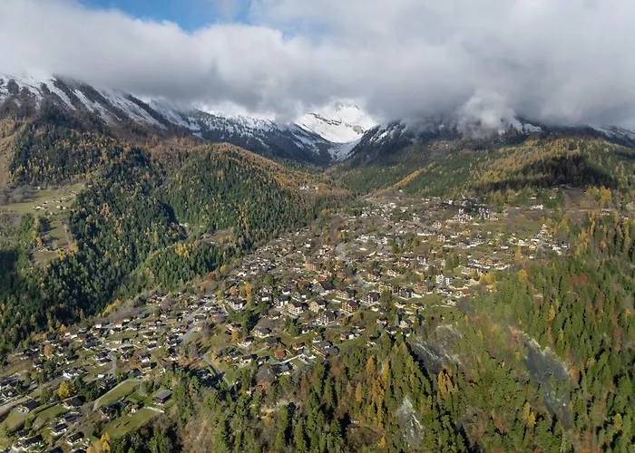 公寓 Orion 205 By Interhome 奥瓦伦纳茨