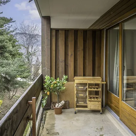 Apartment Orion 205 By Interhome Ovronnaz